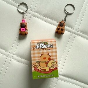 Capybara Mystery Box 2 Capybaras and Box